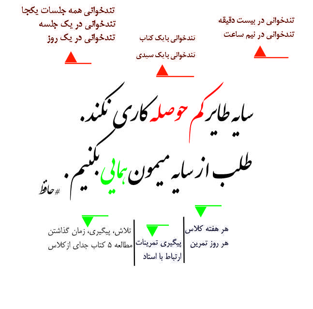 موسسه تندخوانی نصرت برترین در ارایه خدمات اموزش تندخوانی حفظ و تمرکز